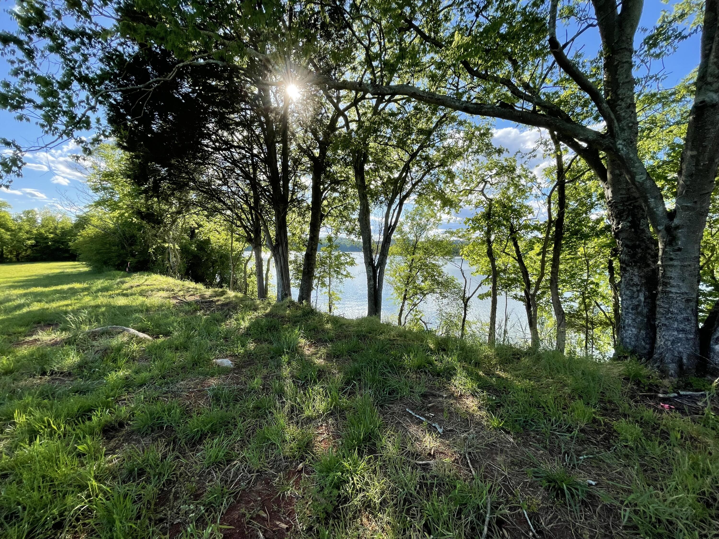 889 Matlock Bend Road Loudon, TN 37774 - Photo 9 of 13 At the Water