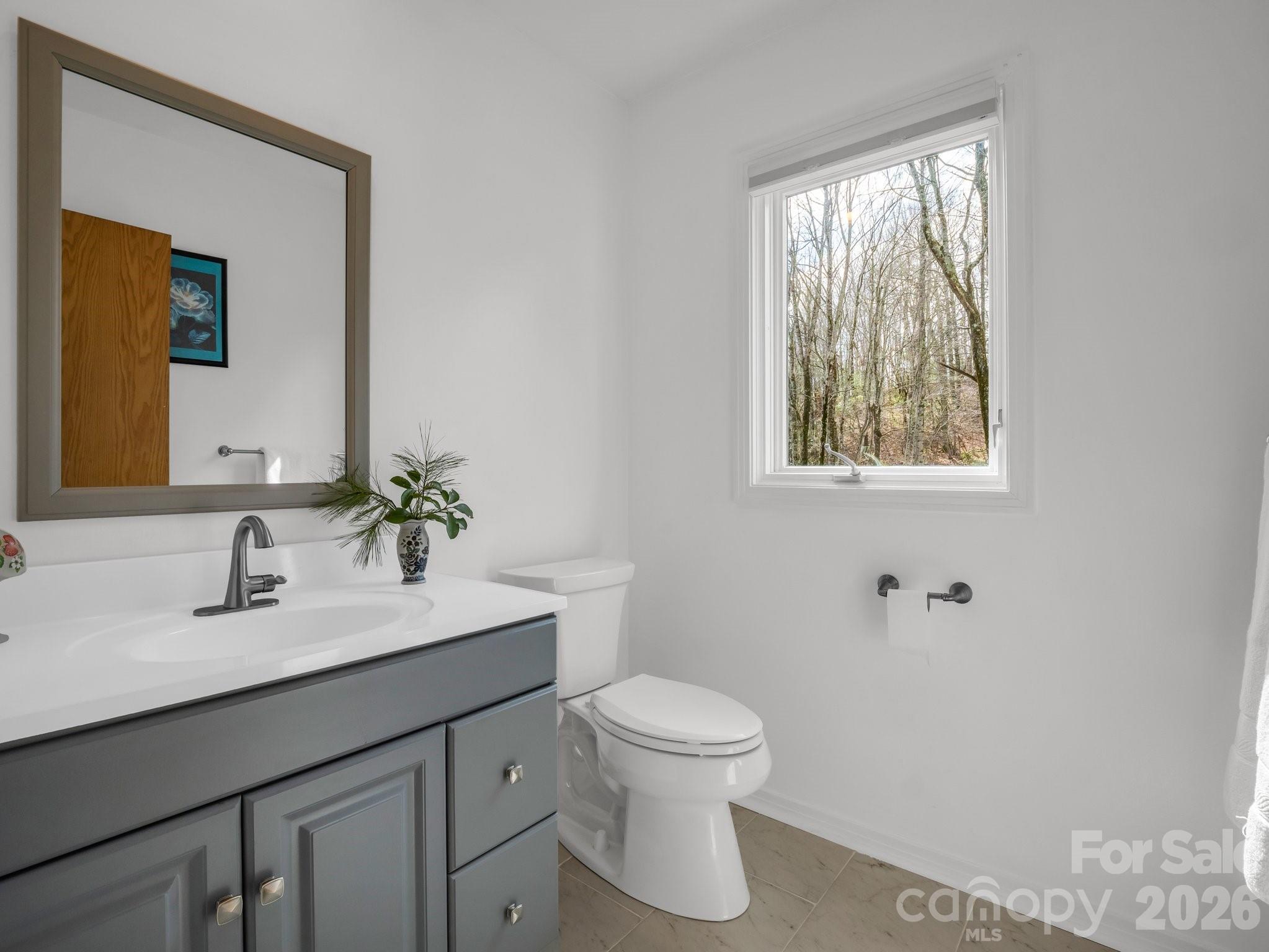 209 Walnut Ridge Road Brevard, NC 28712 - Photo 20 of 42