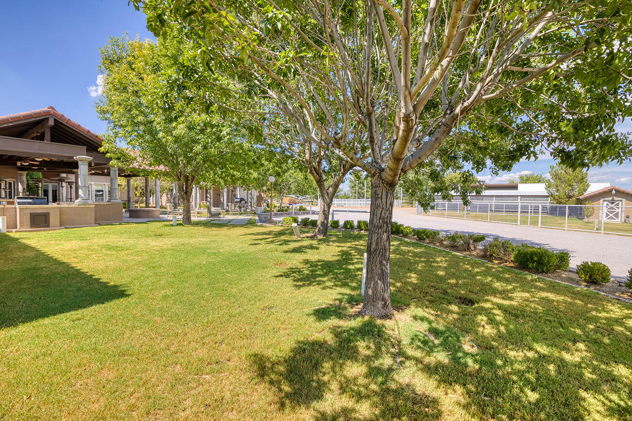 656 Cox Road El Paso, TX 79932 - Photo 51 of 74 Green Green Grass