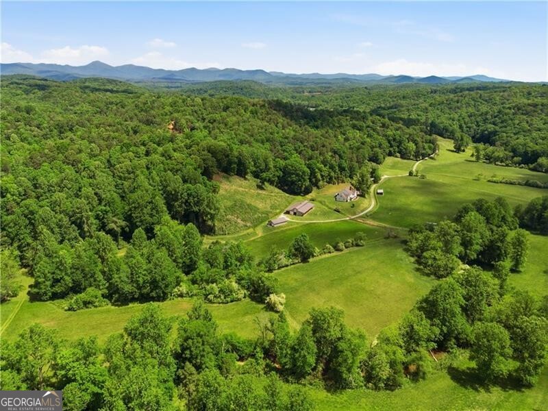 619 Hamp Mill Road Dahlonega, GA 30533 - Photo 97 of 118