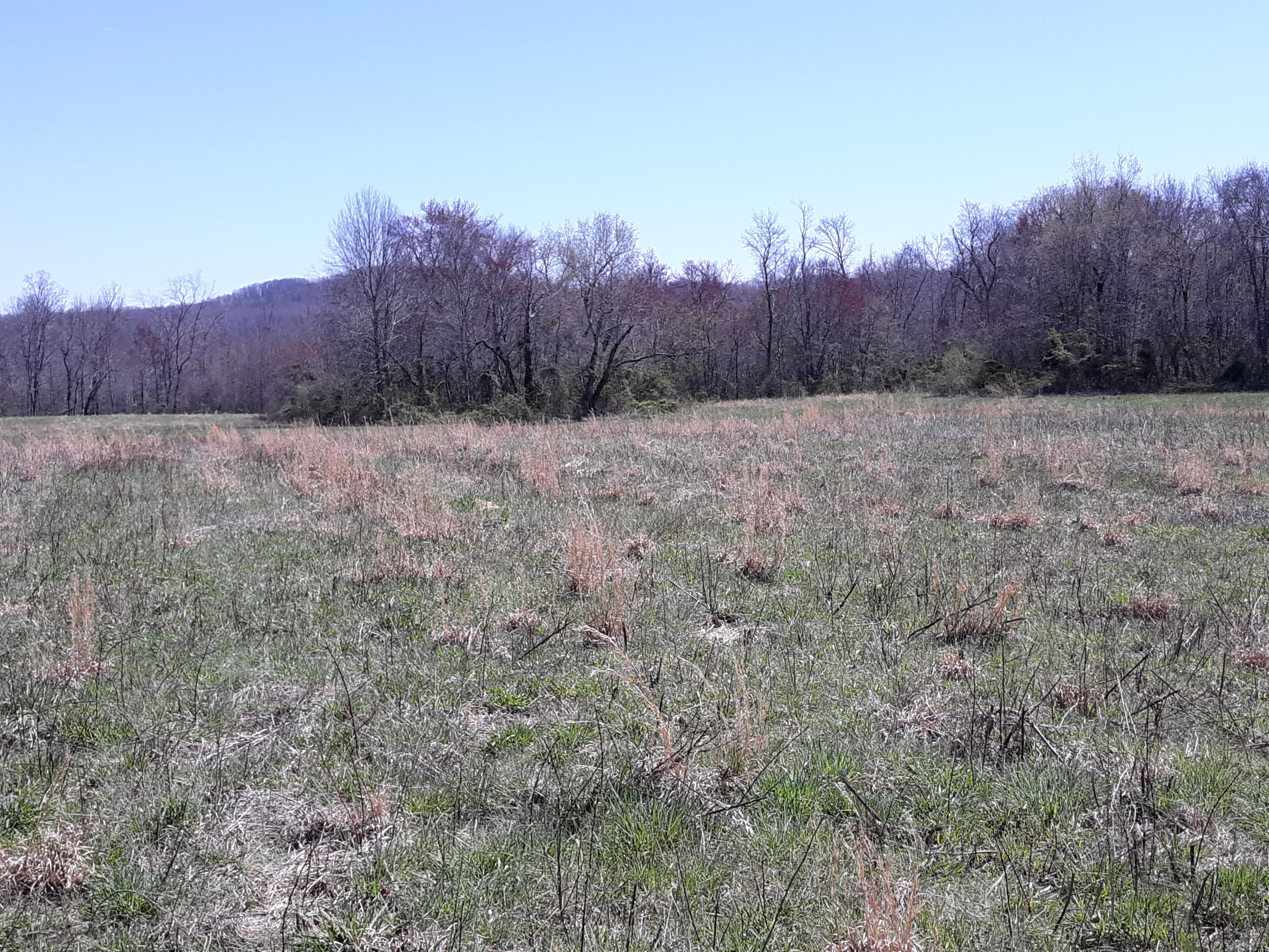 10 Big Spring Gap Road Pikeville, TN 37367 - Photo 1 of 30 20210403_134512