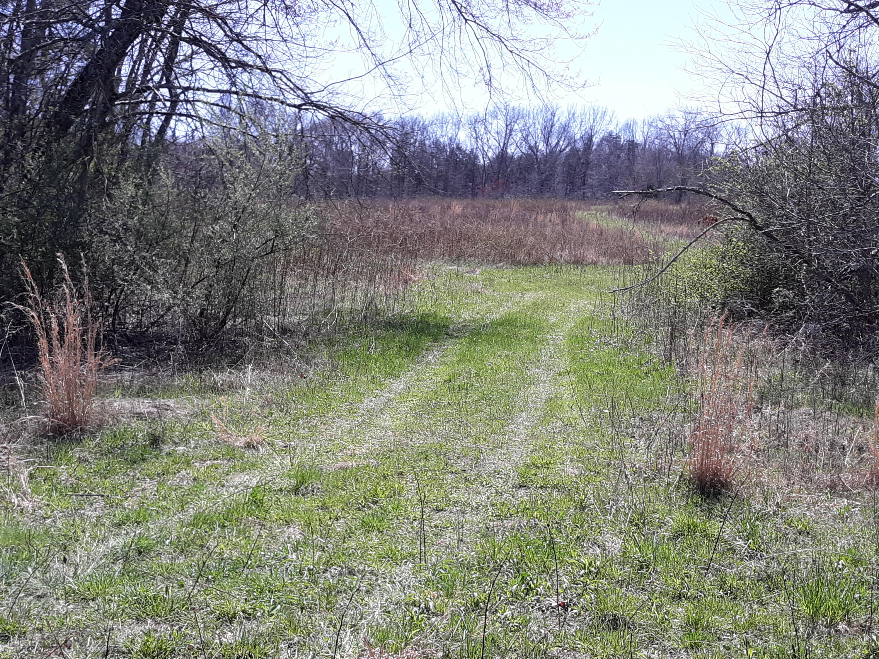 10 Big Spring Gap Road Pikeville, TN 37367 - Photo 14 of 30 20210403_134535