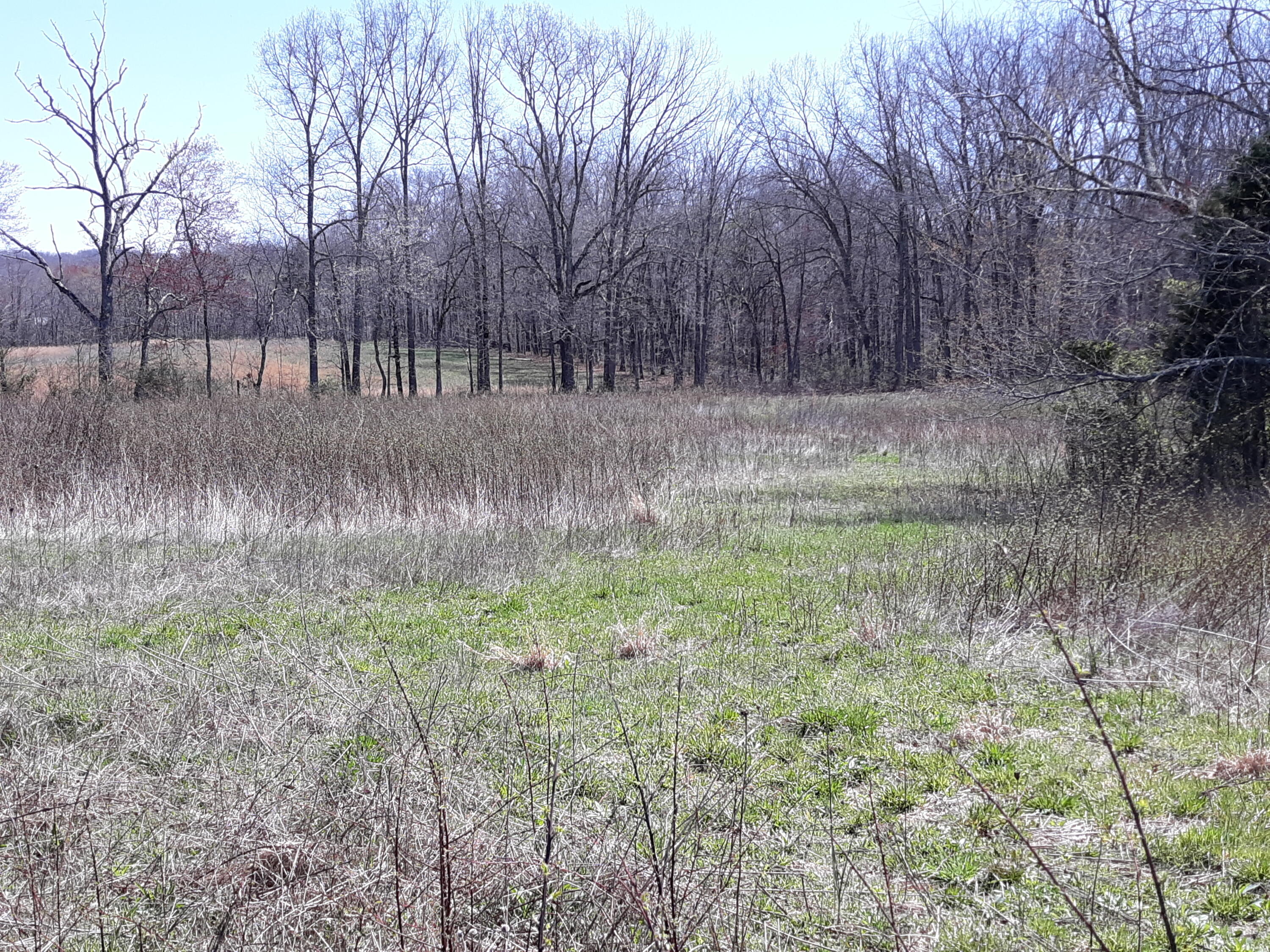 10 Big Spring Gap Road Pikeville, TN 37367 - Photo 17 of 30 20210403_134629