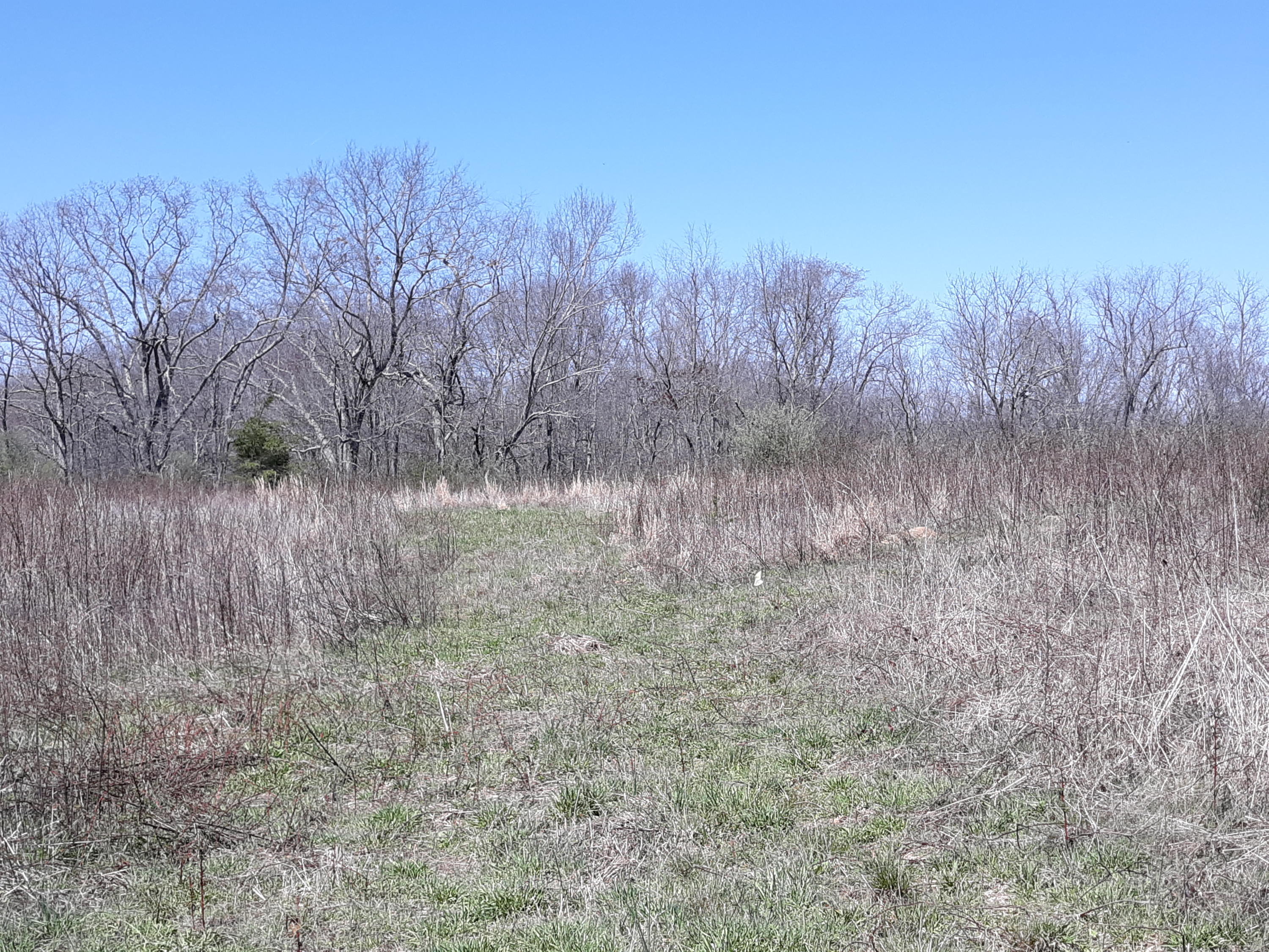10 Big Spring Gap Road Pikeville, TN 37367 - Photo 18 of 30 20210403_134642