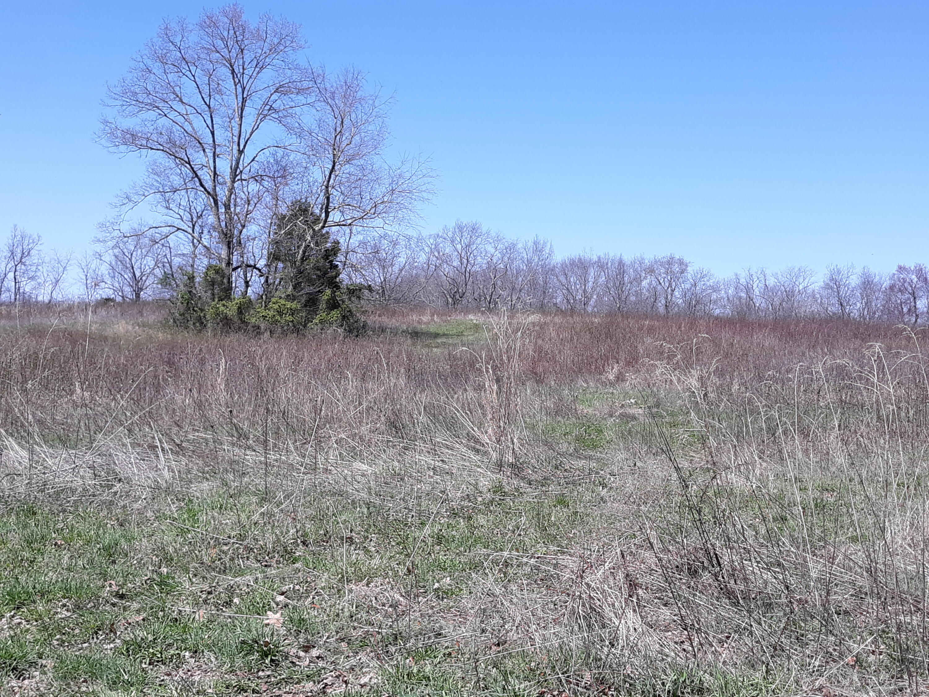 10 Big Spring Gap Road Pikeville, TN 37367 - Photo 21 of 30 20210403_134818