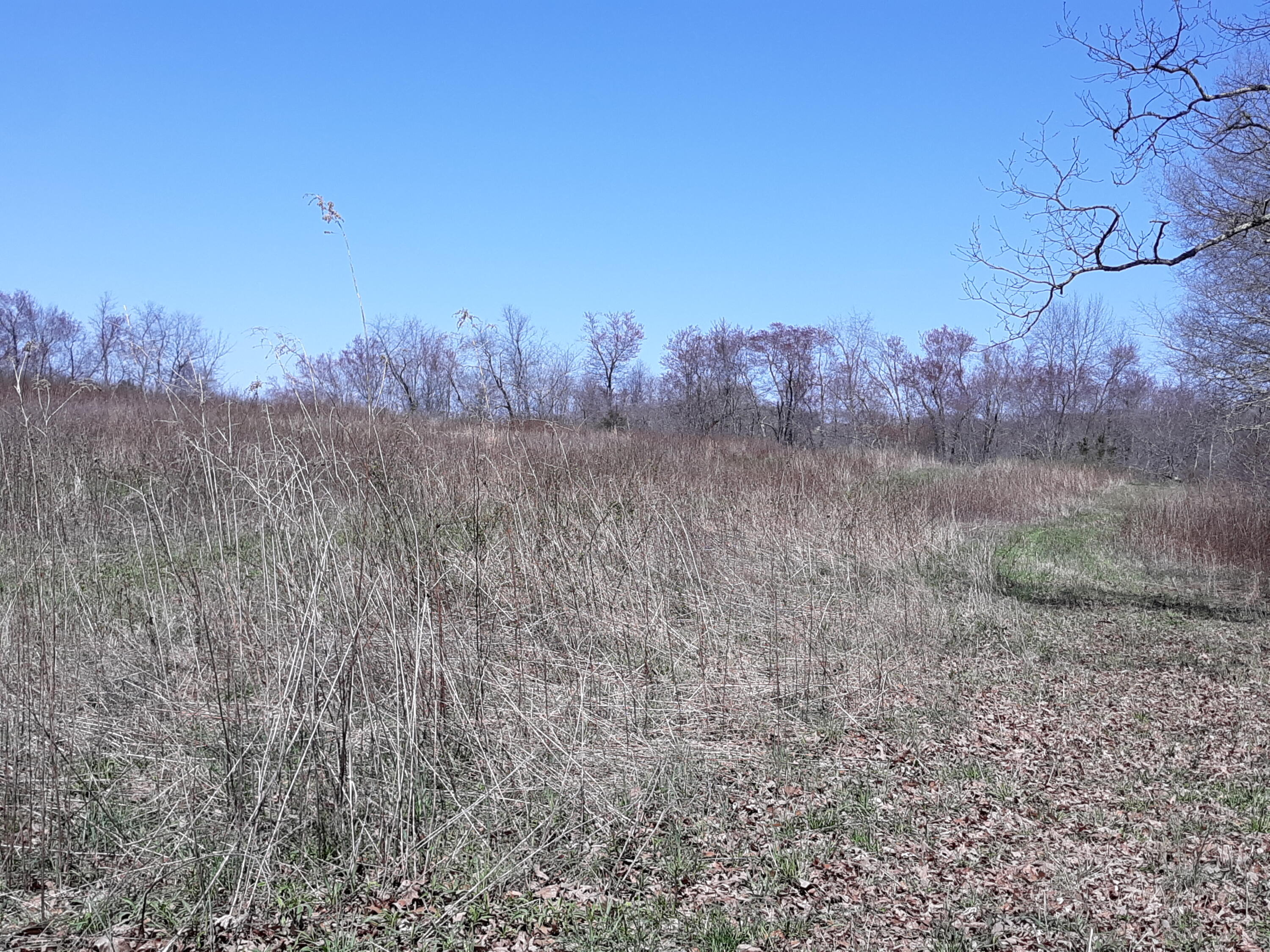 10 Big Spring Gap Road Pikeville, TN 37367 - Photo 22 of 30 20210403_134821