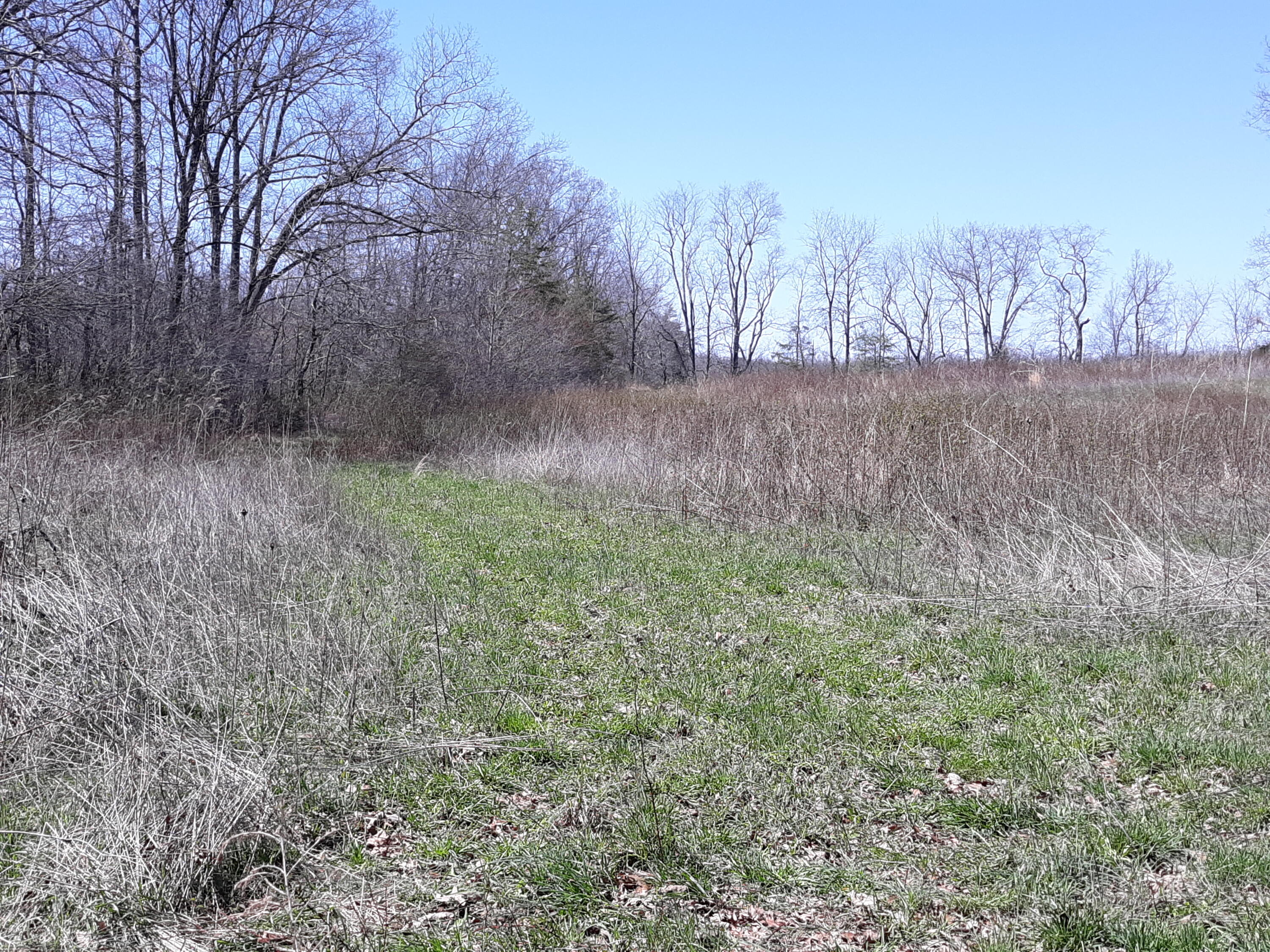 10 Big Spring Gap Road Pikeville, TN 37367 - Photo 23 of 30 20210403_134825