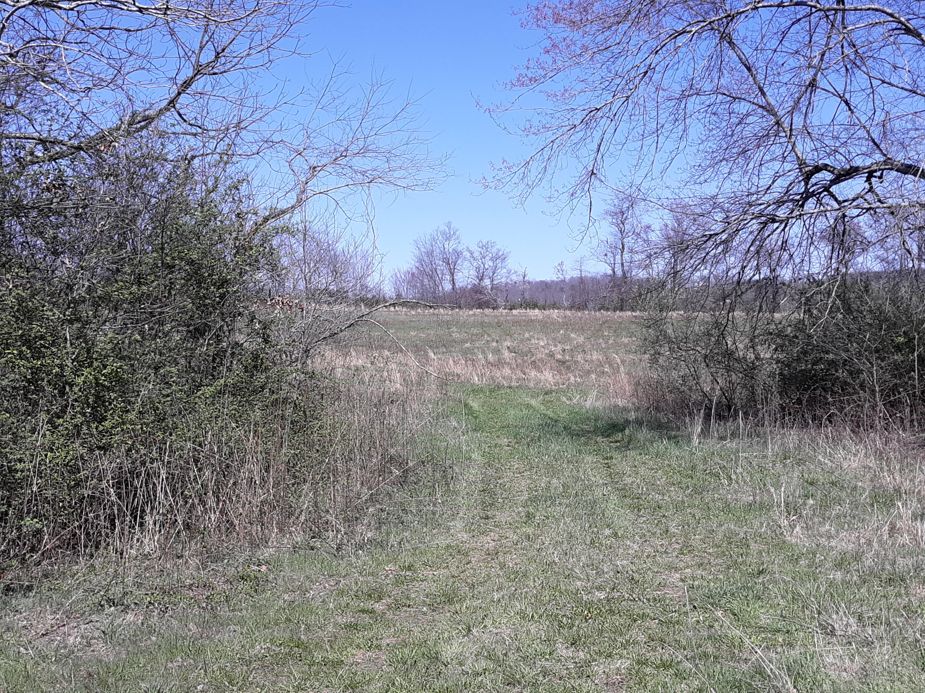 10 Big Spring Gap Road Pikeville, TN 37367 - Photo 24 of 30 20210403_134917