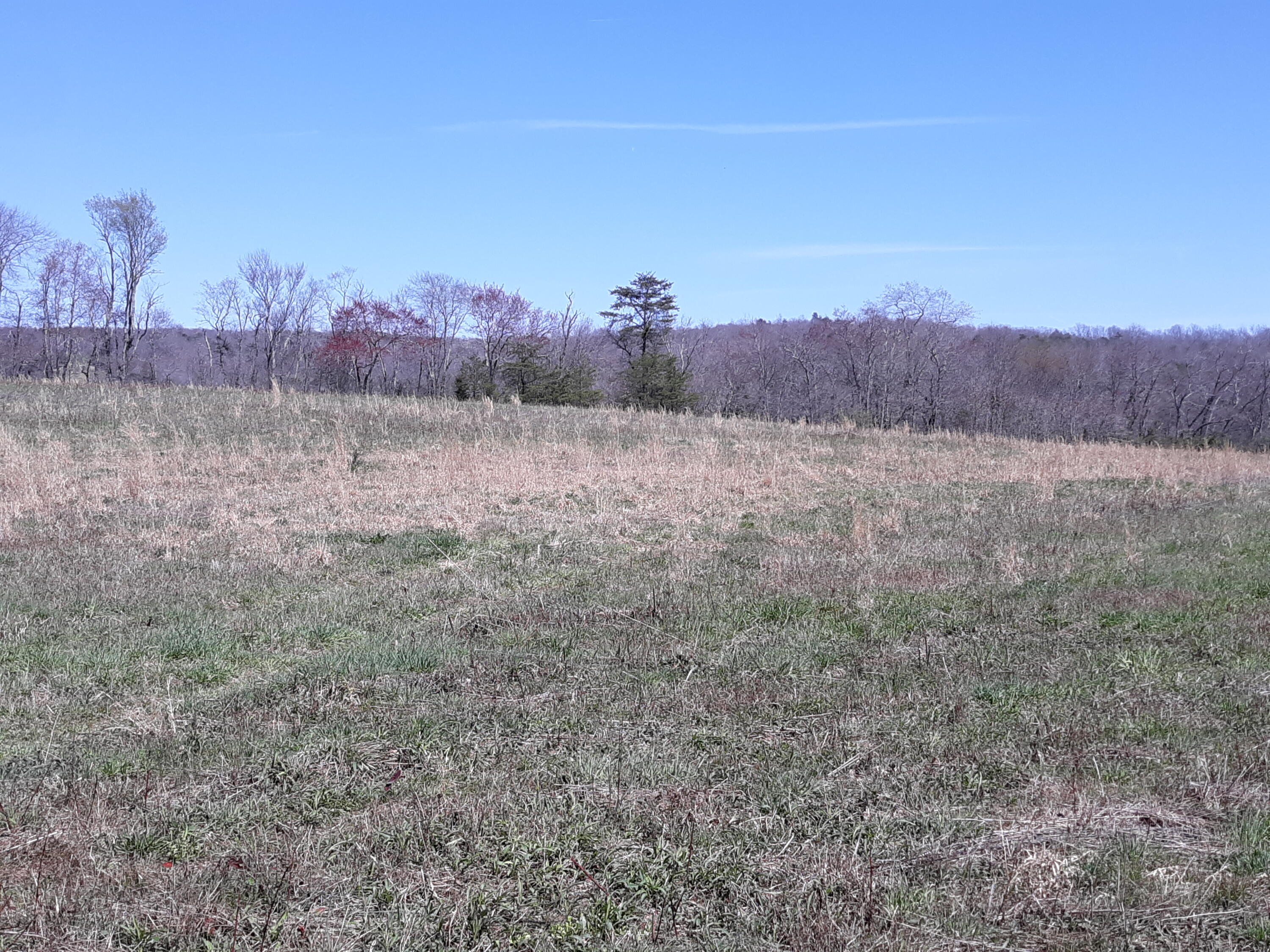 10 Big Spring Gap Road Pikeville, TN 37367 - Photo 26 of 30 20210403_134949