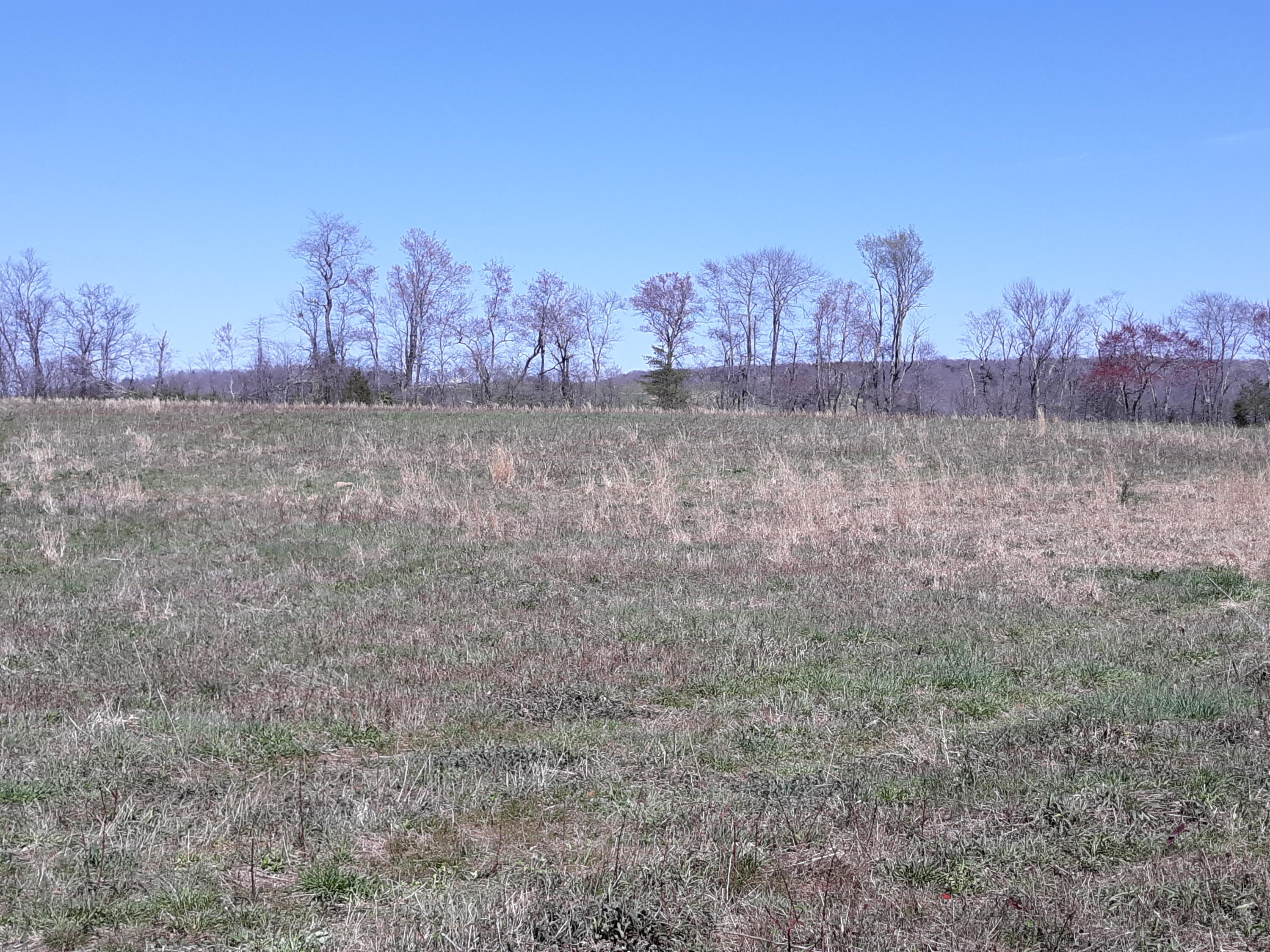 10 Big Spring Gap Road Pikeville, TN 37367 - Photo 27 of 30 20210403_134951
