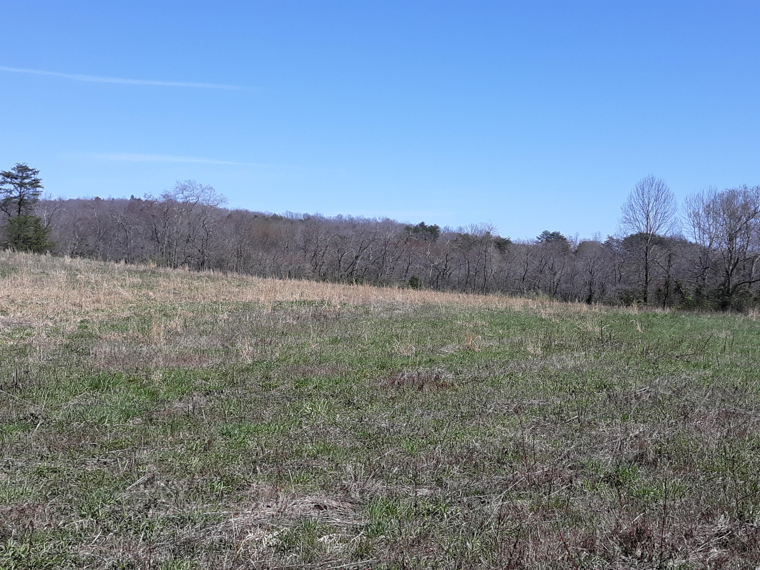 10 Big Spring Gap Road Pikeville, TN 37367 - Photo 28 of 30 20210403_134954