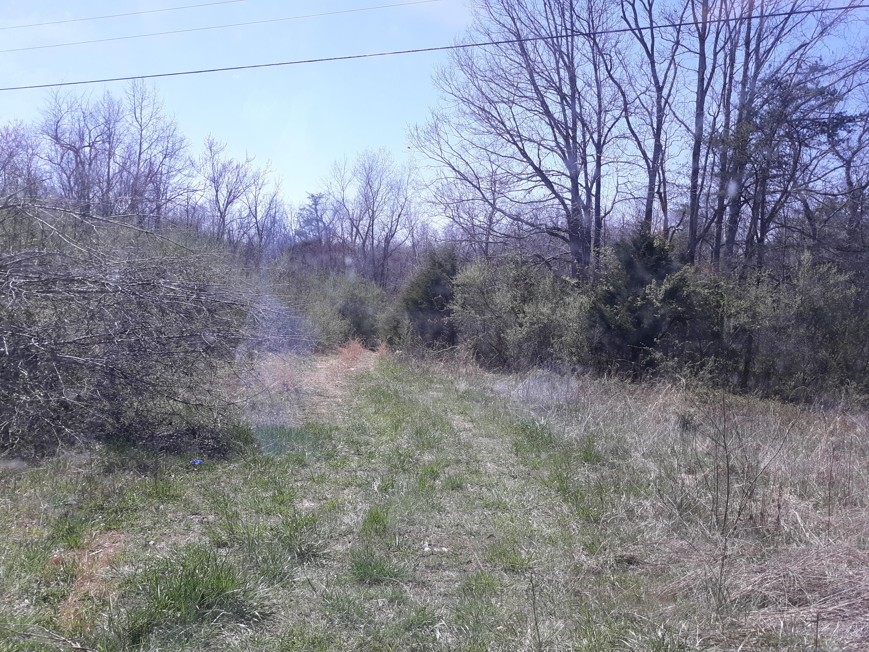 10 Big Spring Gap Road Pikeville, TN 37367 - Photo 3 of 30 20210403_134041