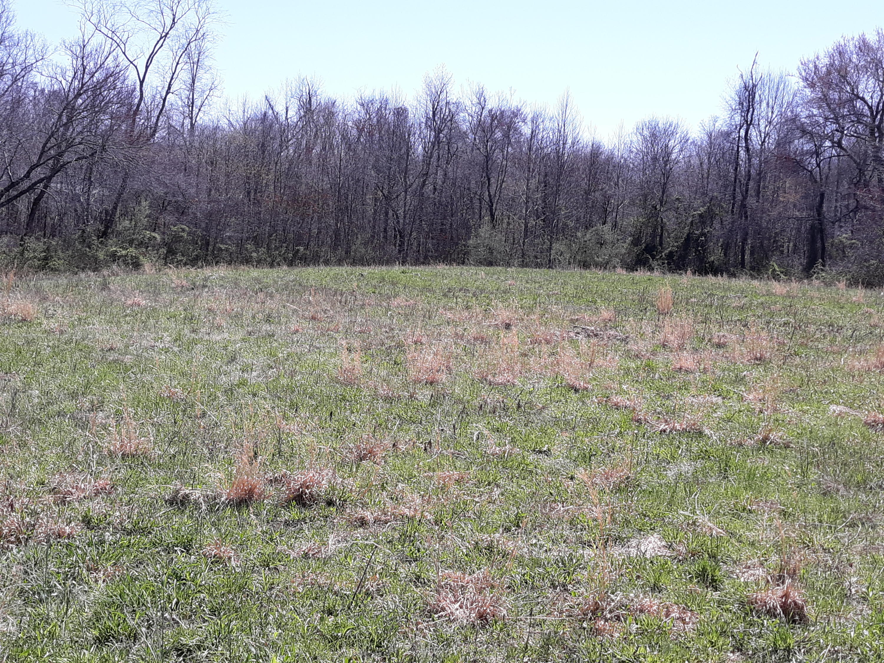 10 Big Spring Gap Road Pikeville, TN 37367 - Photo 8 of 30 20210403_134353