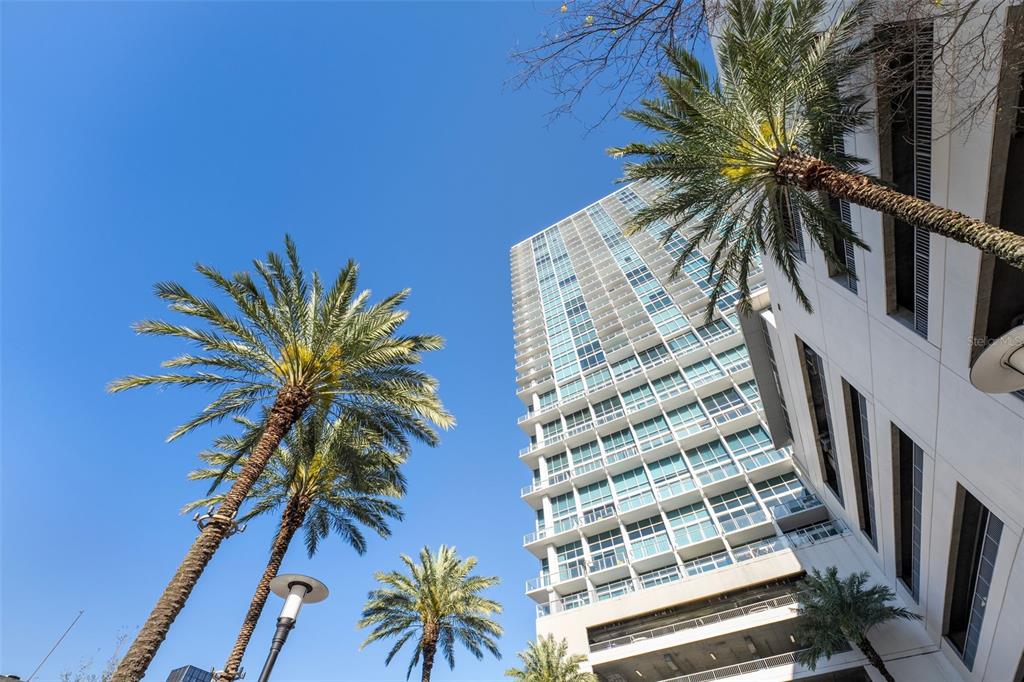 150 East Robinson Street, Unit 1007 Orlando, FL 32801 - Photo 30 of 31 a view of balcony with palm tree