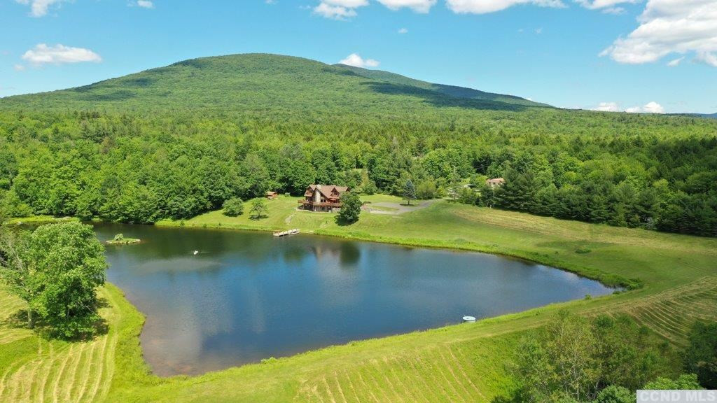 892 Maplecrest Road Hensonville, NY 12439 - Photo 45 of 47 Photo 45