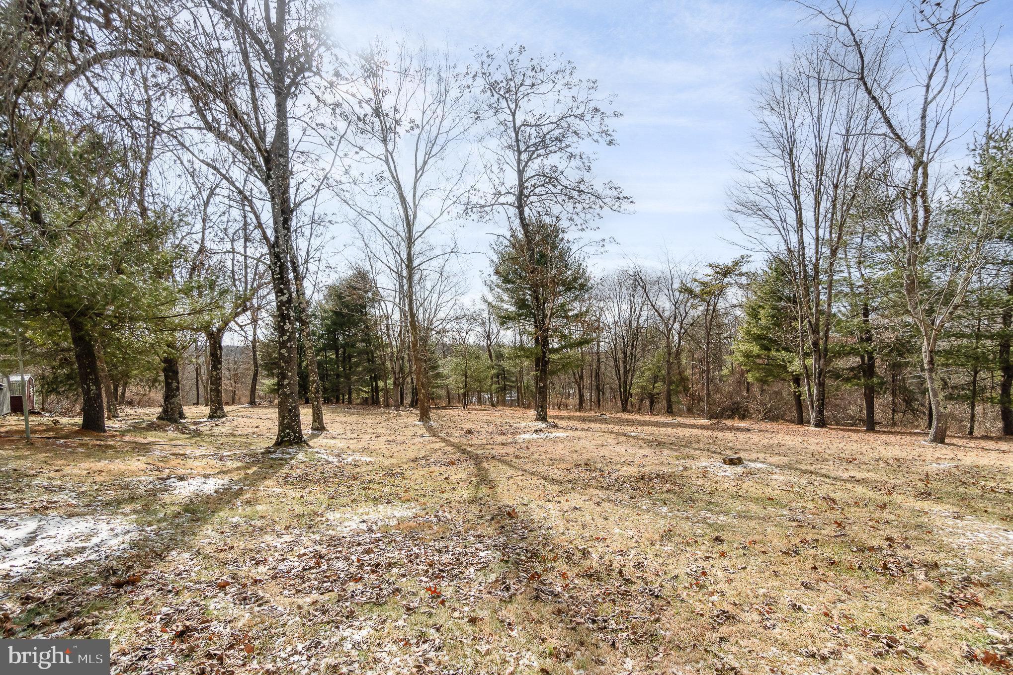 111 Paradise Road Duncannon, PA 17020 - Photo 4 of 24 Gallery Image 4