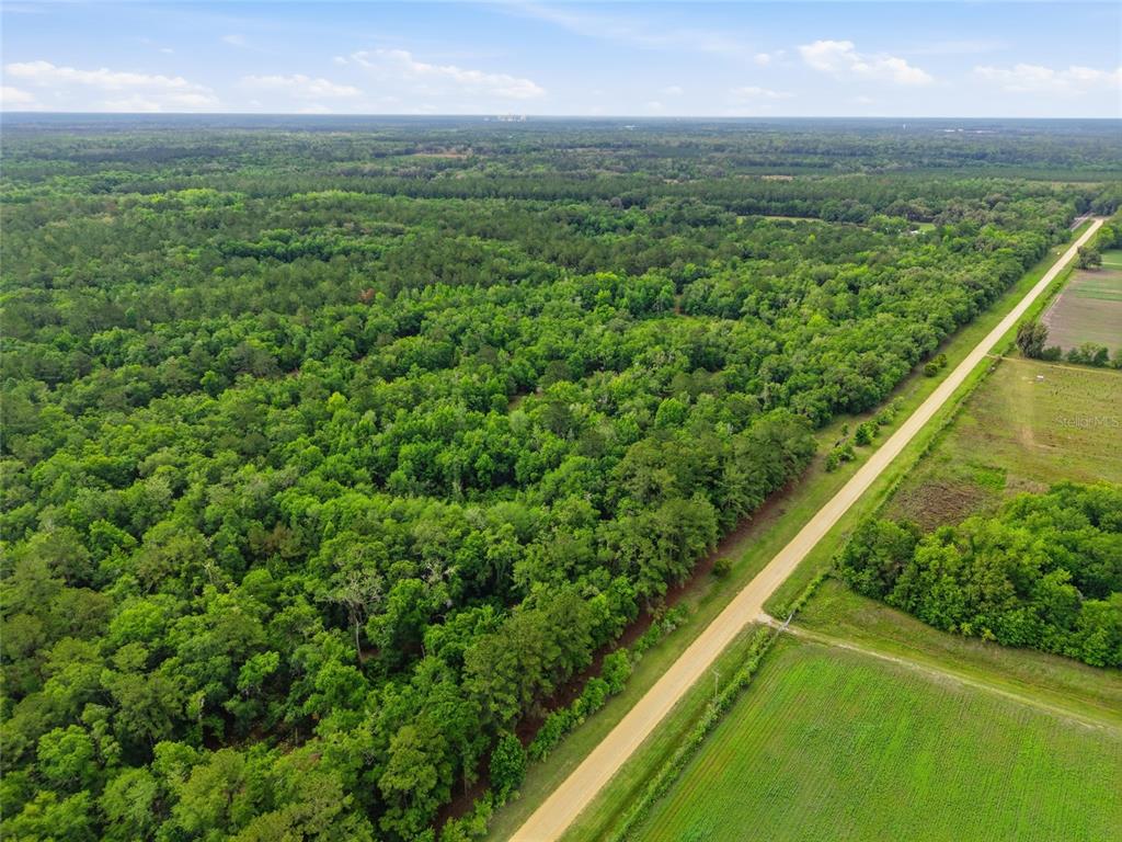 91st Street Alachua, FL 32615 - Photo 8 of 36 a view of a green field with lots of bushes