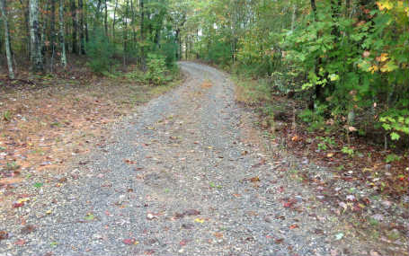 Lot 9 Thomas Ridge Morganton, GA 30560 - Photo 1 of 1 Main View