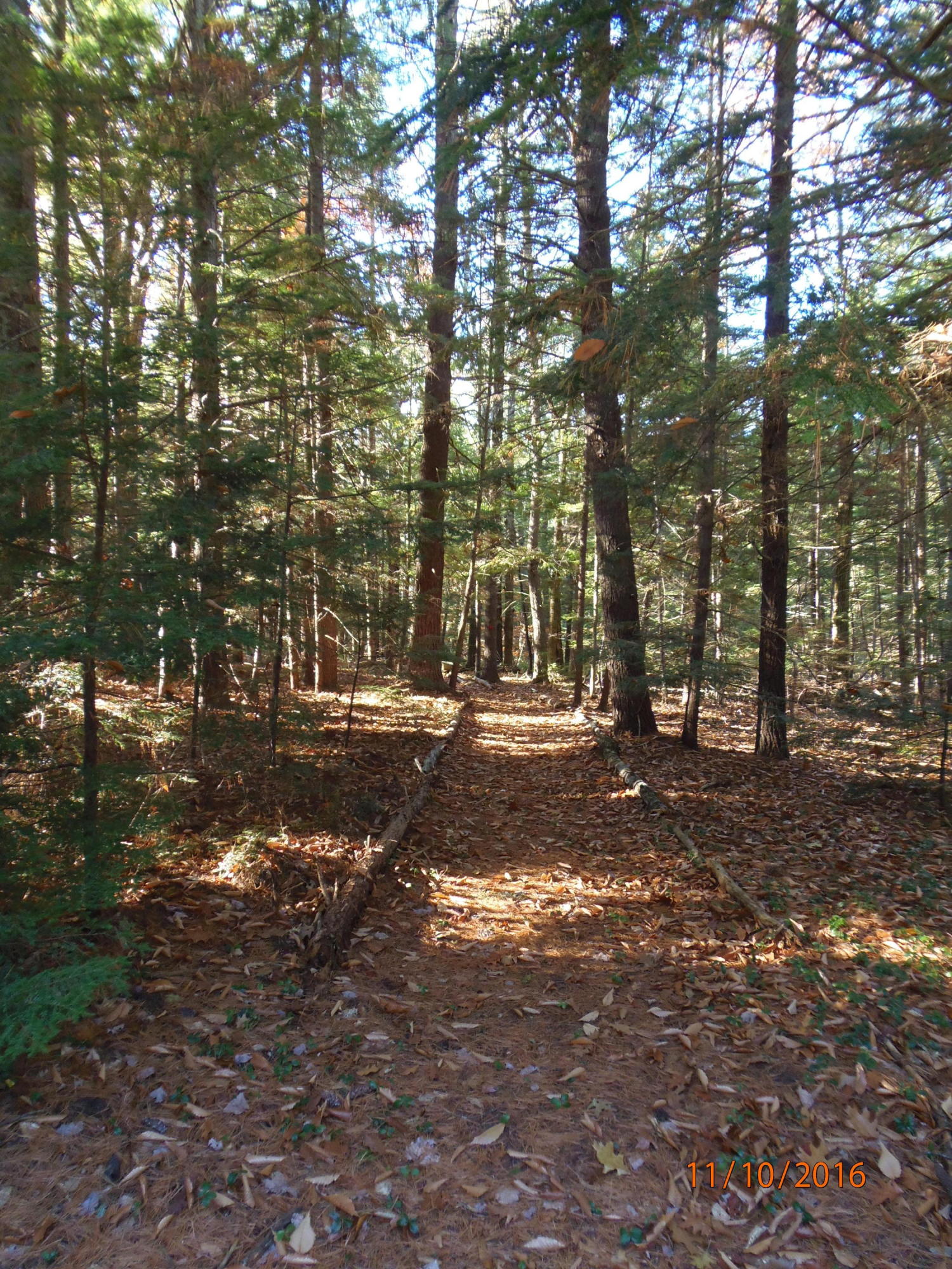 0 Cider Mill Pond Road North Berwick, ME 03906 - Photo 6 of 10 PB101593