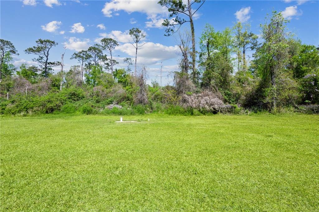 16685 Meisner Road Springfield, LA 70462 - Photo 17 of 19