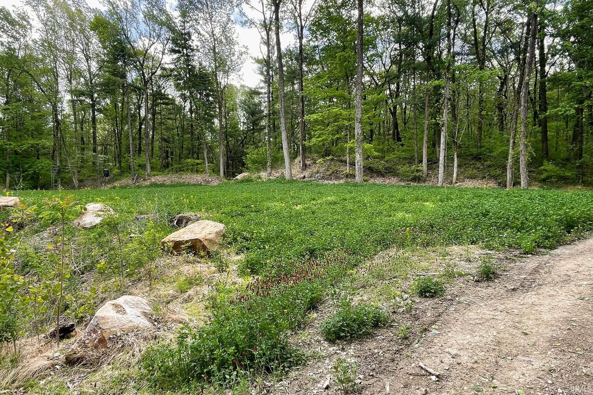 955 Mt Gilead Road Boonville, IN 47601 - Photo 5 of 31 Gallery Image 5