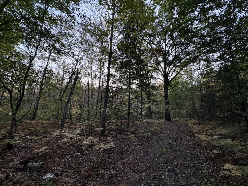 2635 Thayer Road Lupton, MI 48635 - Photo 101 of 128 IMG_5482