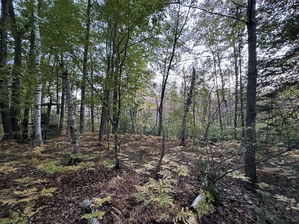 2635 Thayer Road Lupton, MI 48635 - Photo 102 of 128 IMG_5483