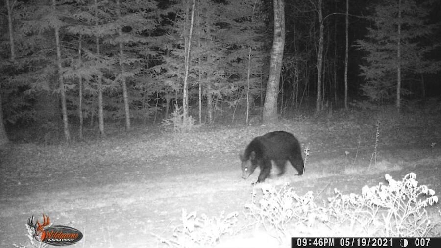 2635 Thayer Road Lupton, MI 48635 - Photo 122 of 128 IMG_5623