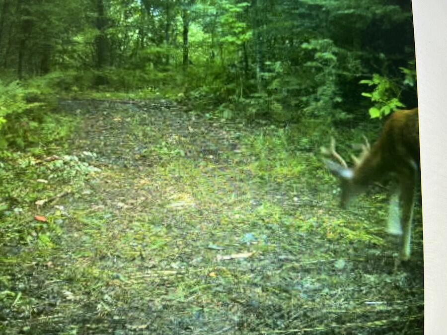 2635 Thayer Road Lupton, MI 48635 - Photo 127 of 128 IMG_5630