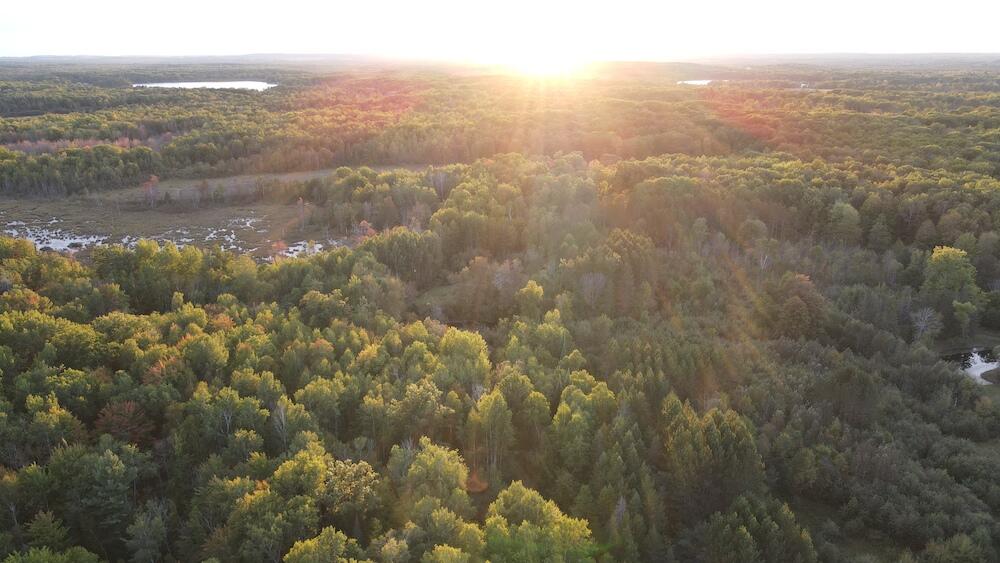 2635 Thayer Road Lupton, MI 48635 - Photo 25 of 128 DJI_0563