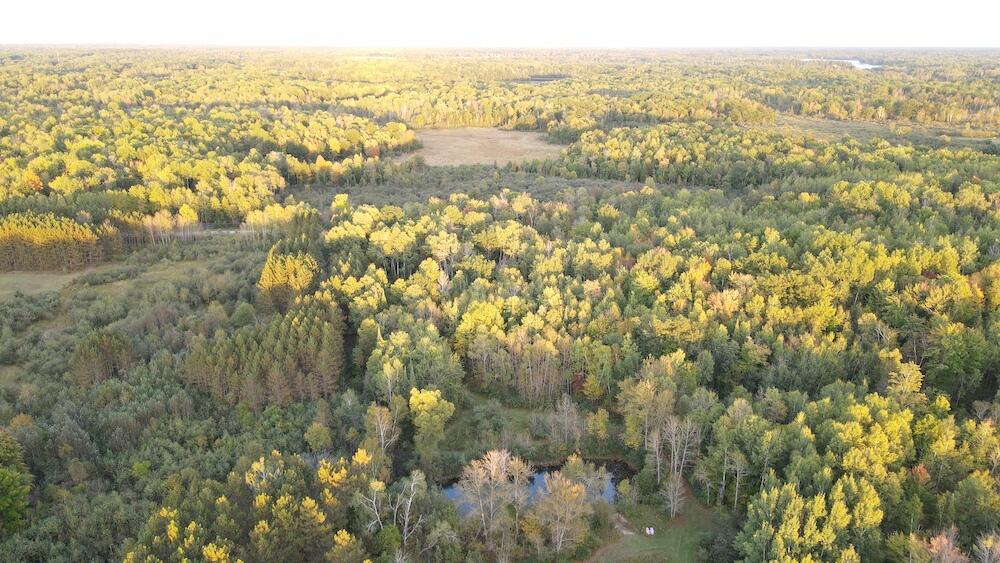 2635 Thayer Road Lupton, MI 48635 - Photo 26 of 128 DJI_0564
