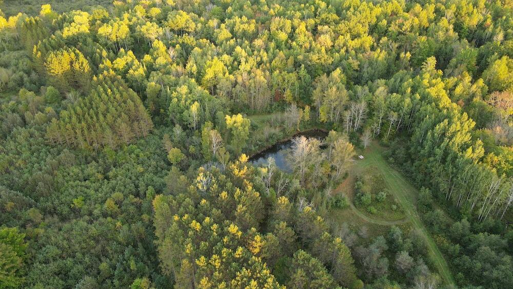 2635 Thayer Road Lupton, MI 48635 - Photo 27 of 128 DJI_0566