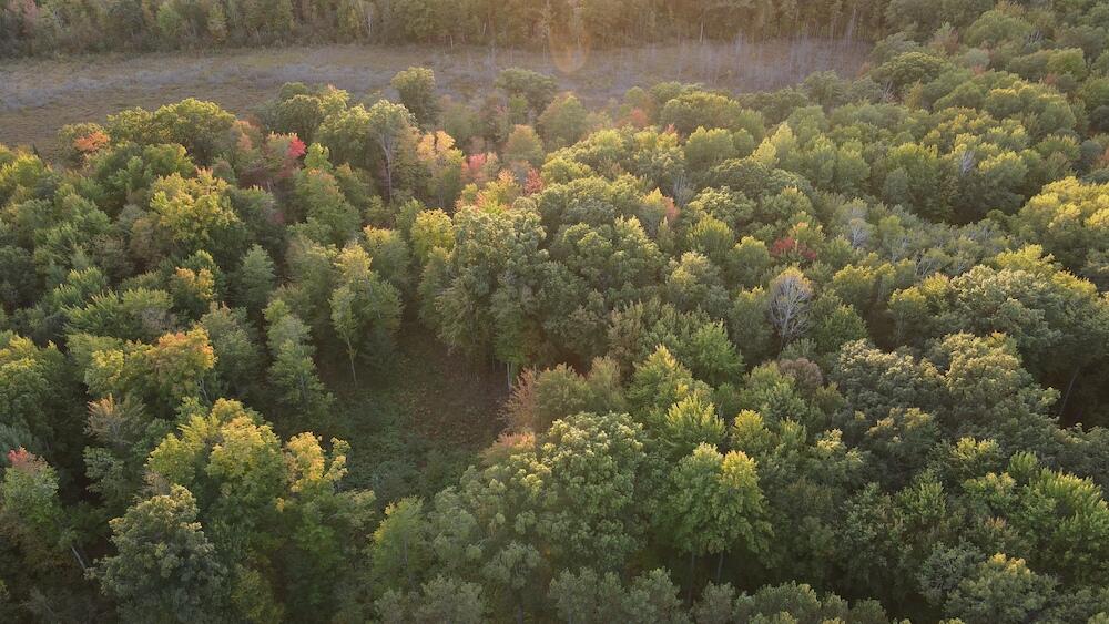 2635 Thayer Road Lupton, MI 48635 - Photo 28 of 128 DJI_0567