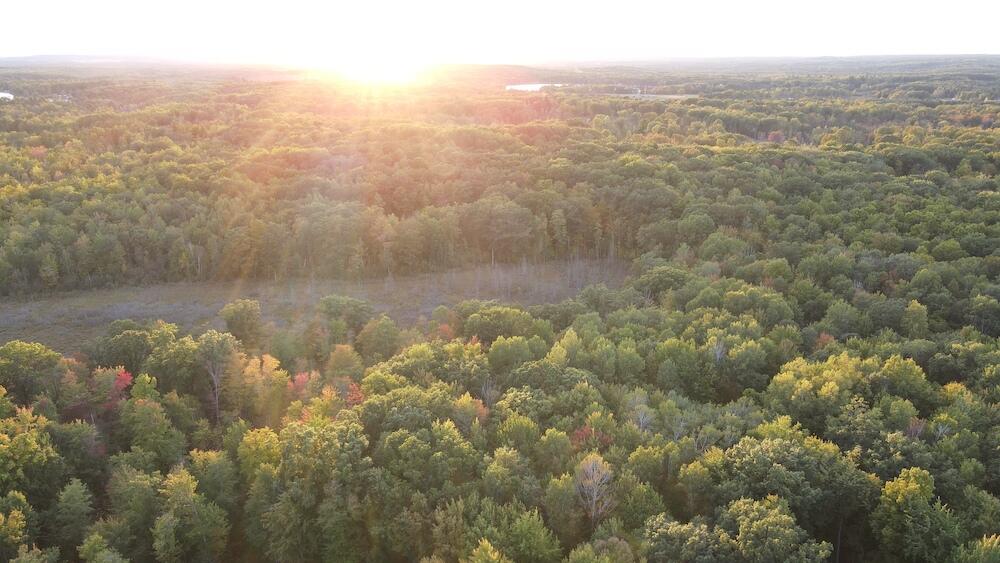 2635 Thayer Road Lupton, MI 48635 - Photo 29 of 128 DJI_0568