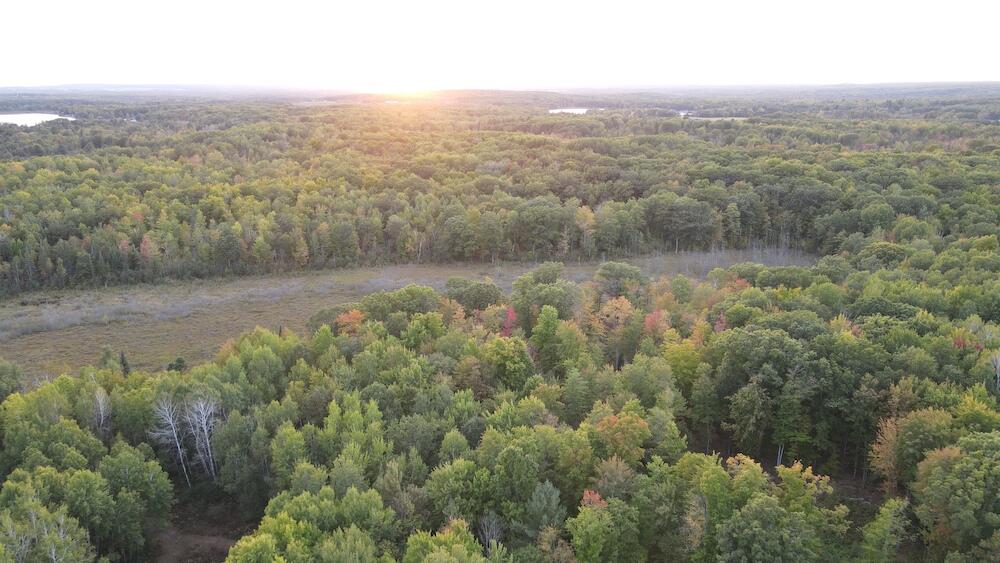 2635 Thayer Road Lupton, MI 48635 - Photo 36 of 128 DJI_0579