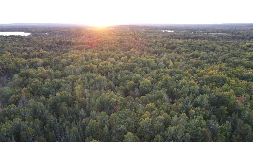2635 Thayer Road Lupton, MI 48635 - Photo 37 of 128 DJI_0582