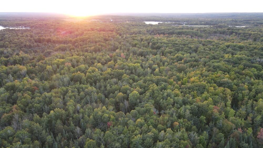 2635 Thayer Road Lupton, MI 48635 - Photo 38 of 128 DJI_0583