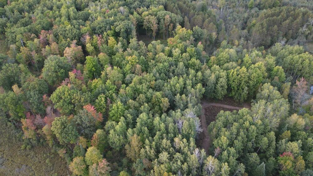 2635 Thayer Road Lupton, MI 48635 - Photo 39 of 128 DJI_0584