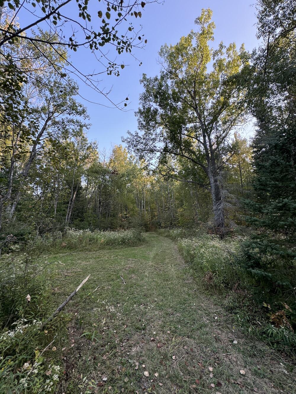 2635 Thayer Road Lupton, MI 48635 - Photo 50 of 128 IMG_5419