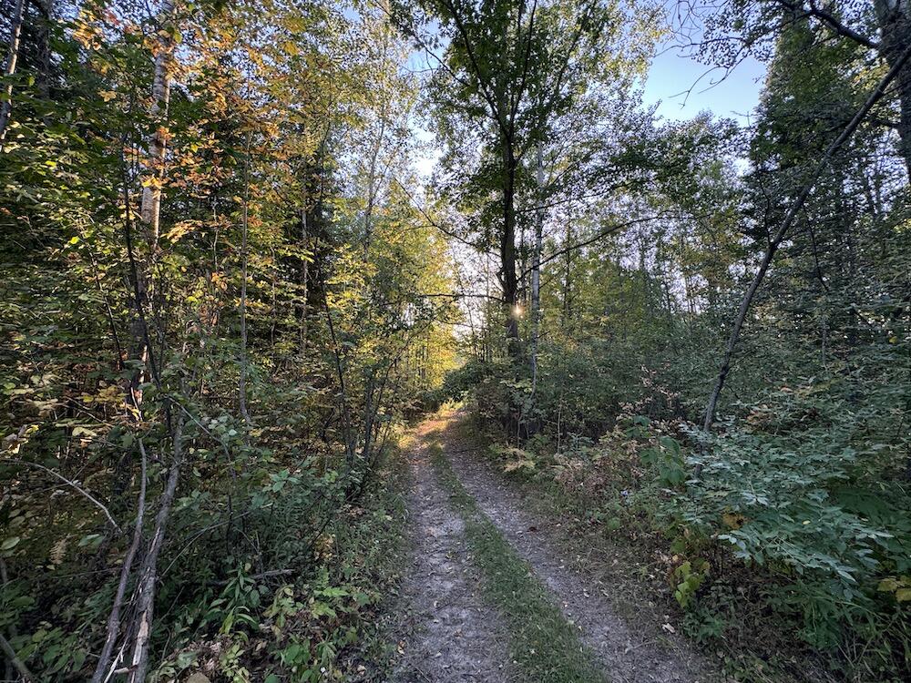 2635 Thayer Road Lupton, MI 48635 - Photo 51 of 128 IMG_5420