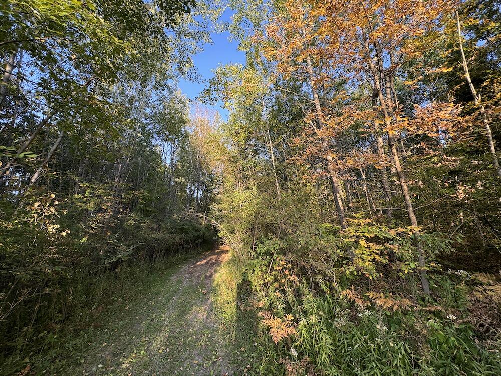 2635 Thayer Road Lupton, MI 48635 - Photo 54 of 128 IMG_5424