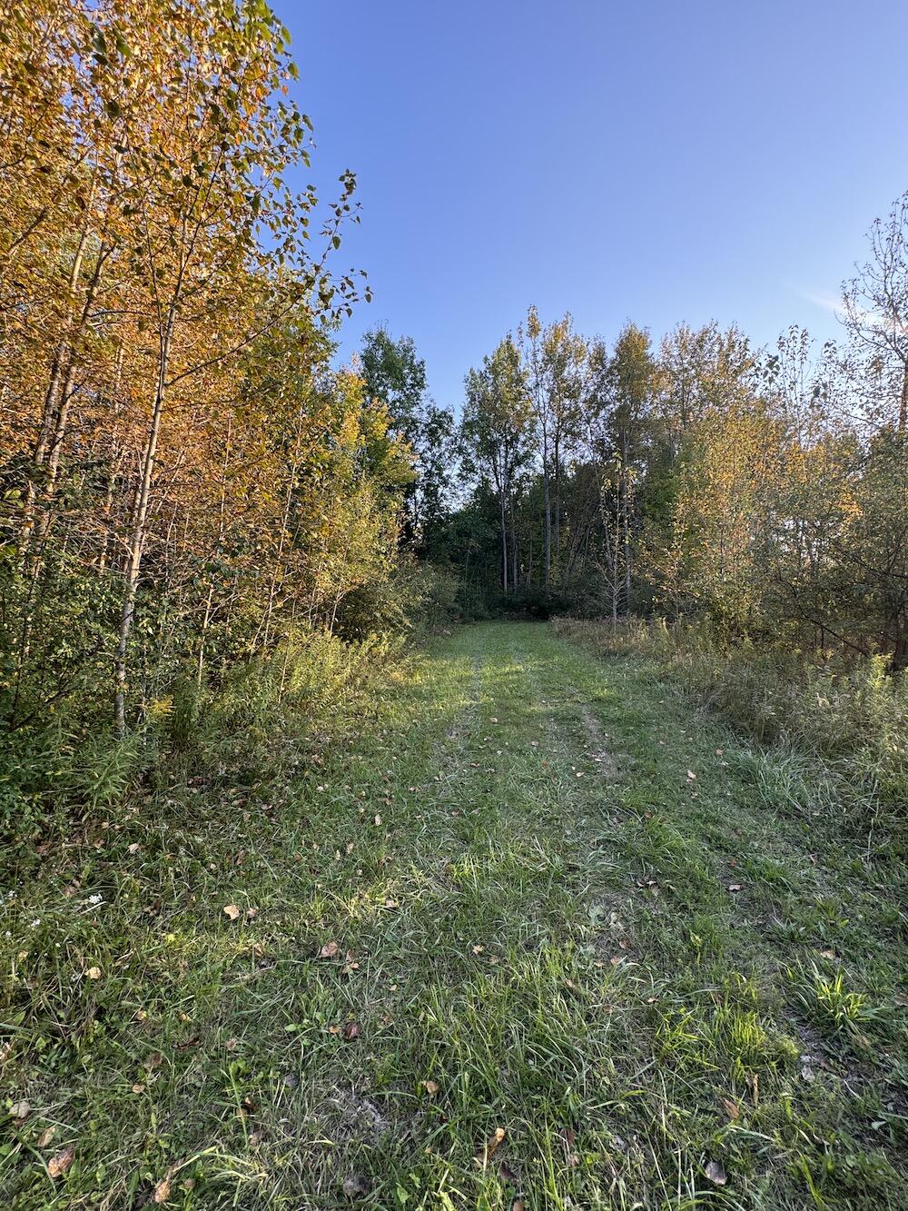 2635 Thayer Road Lupton, MI 48635 - Photo 55 of 128 IMG_5425