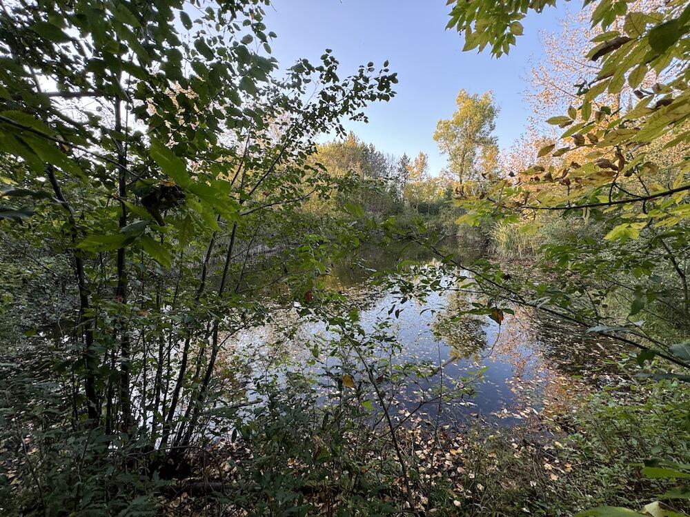 2635 Thayer Road Lupton, MI 48635 - Photo 59 of 128 IMG_5429