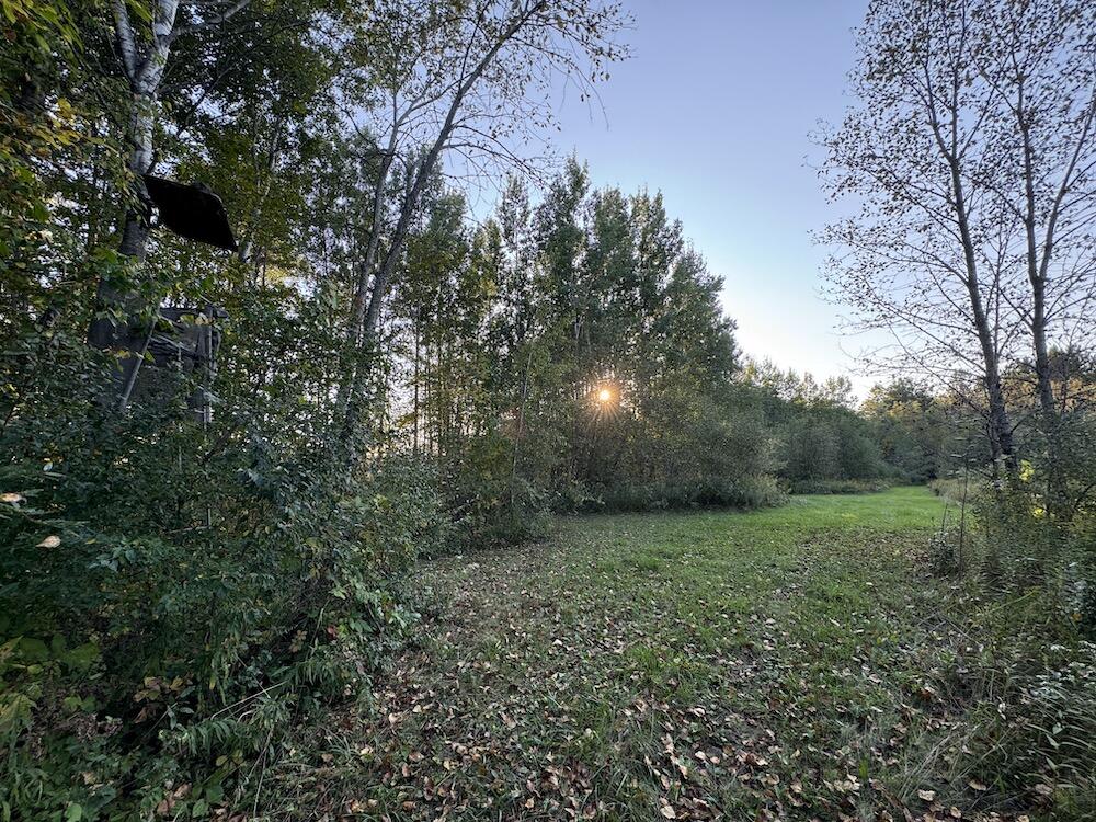 2635 Thayer Road Lupton, MI 48635 - Photo 60 of 128 IMG_5430
