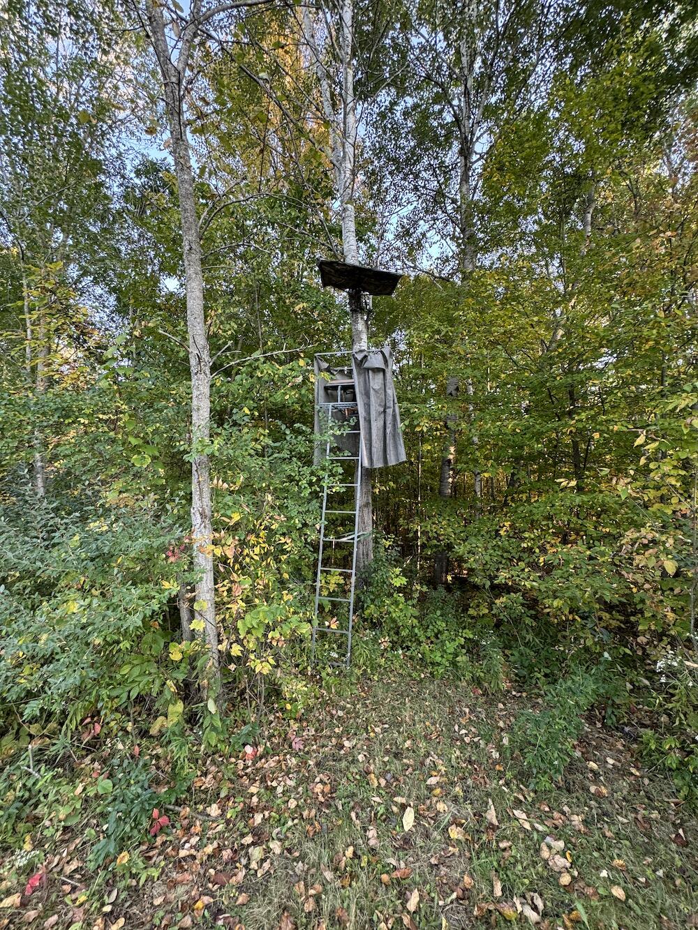 2635 Thayer Road Lupton, MI 48635 - Photo 61 of 128 IMG_5431