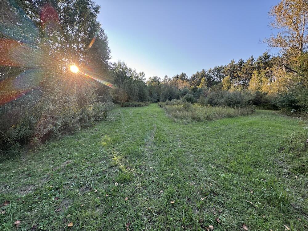 2635 Thayer Road Lupton, MI 48635 - Photo 62 of 128 IMG_5432