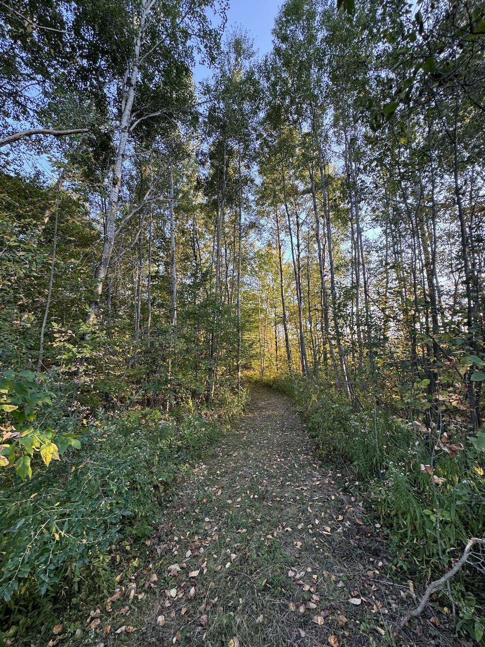 2635 Thayer Road Lupton, MI 48635 - Photo 63 of 128 IMG_5433