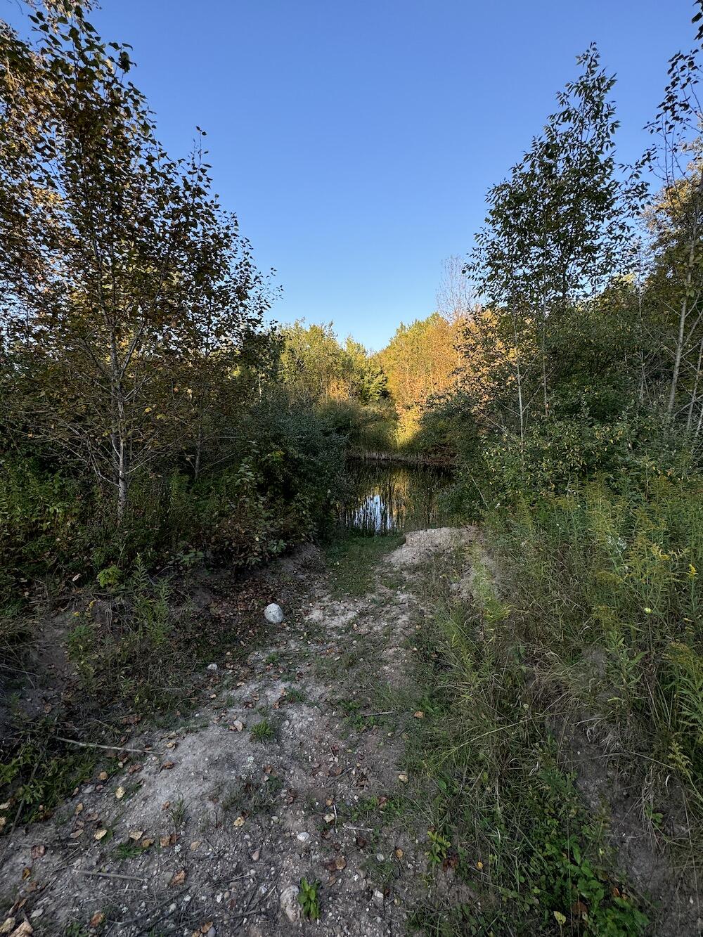 2635 Thayer Road Lupton, MI 48635 - Photo 64 of 128 IMG_5434