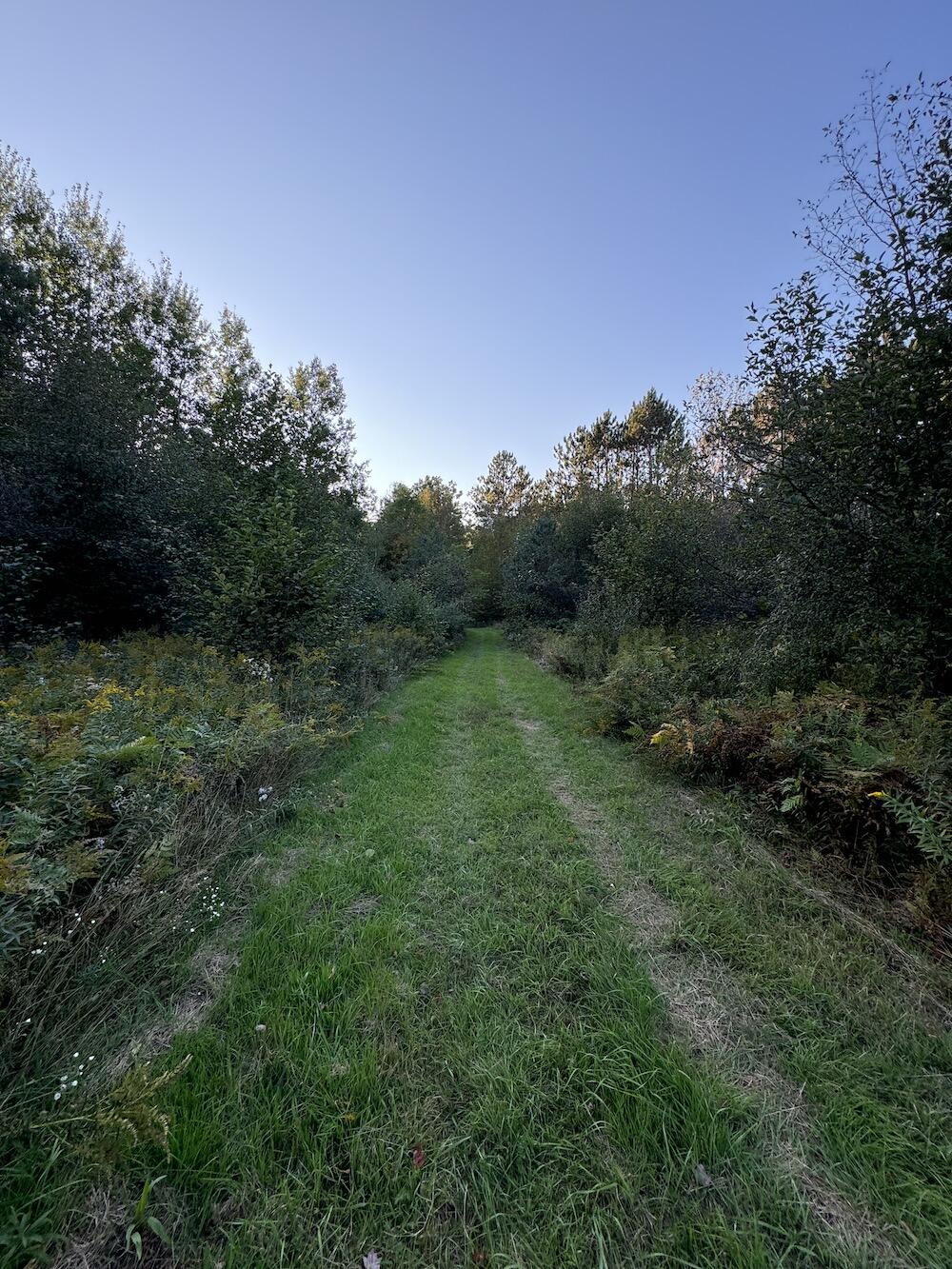 2635 Thayer Road Lupton, MI 48635 - Photo 65 of 128 IMG_5438