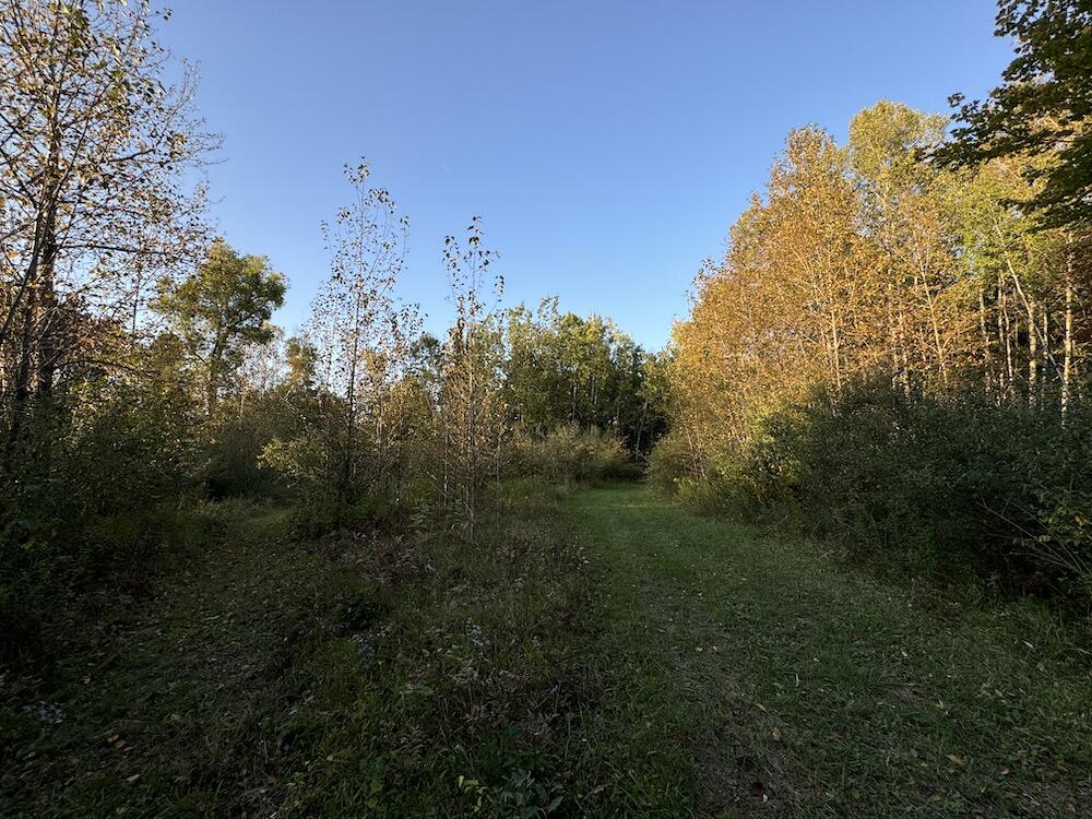 2635 Thayer Road Lupton, MI 48635 - Photo 71 of 128 IMG_5444